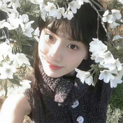 波兰家族