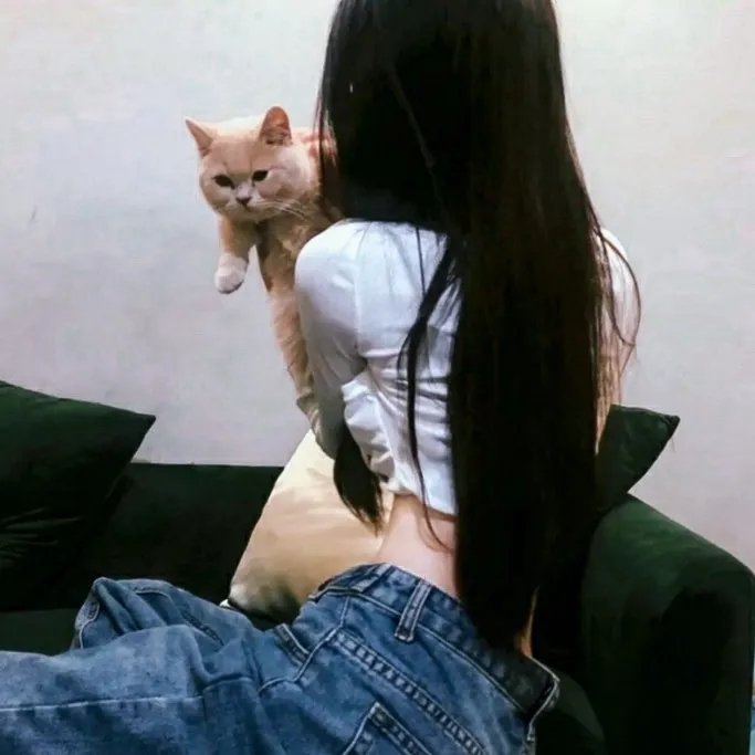谜圈